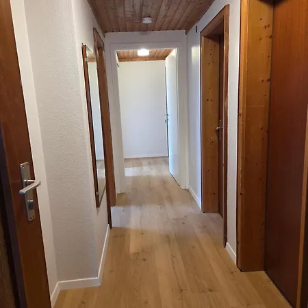 Haus Bergliebe 公寓 *